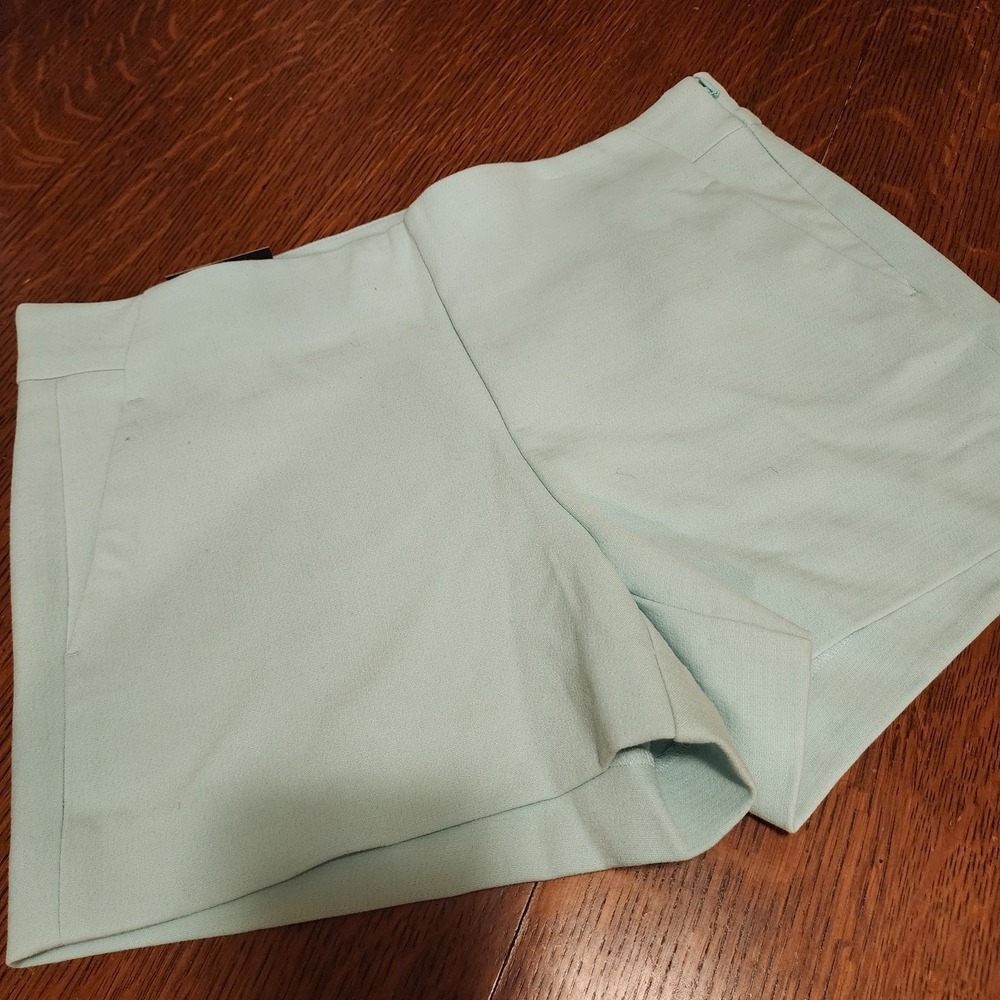 Banana Republic Shorts Women's 10 Mint Green Flat Front Pockets Side Zip Resort